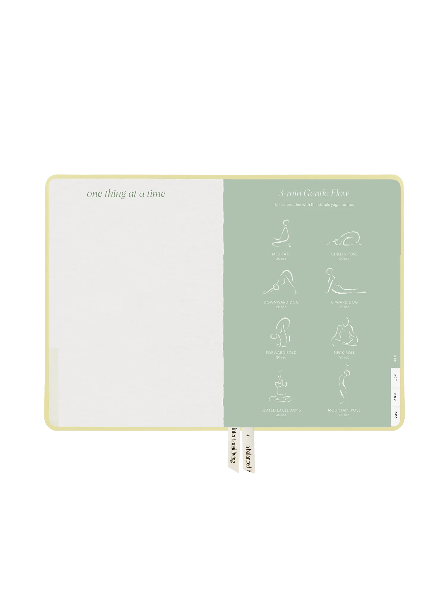 2025 Planner Compact (Buttercream)