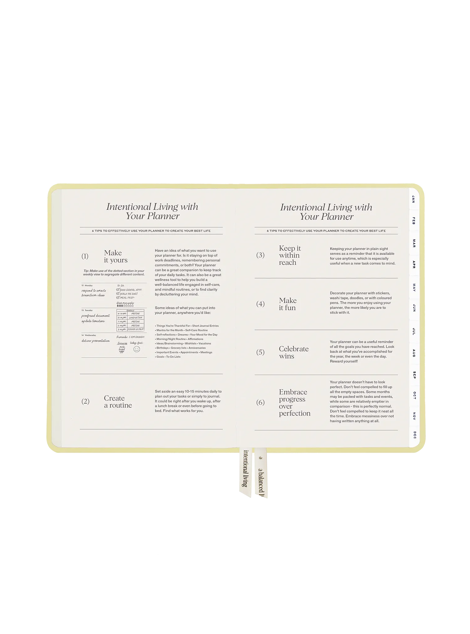 2025 Planner Compact (Buttercream)