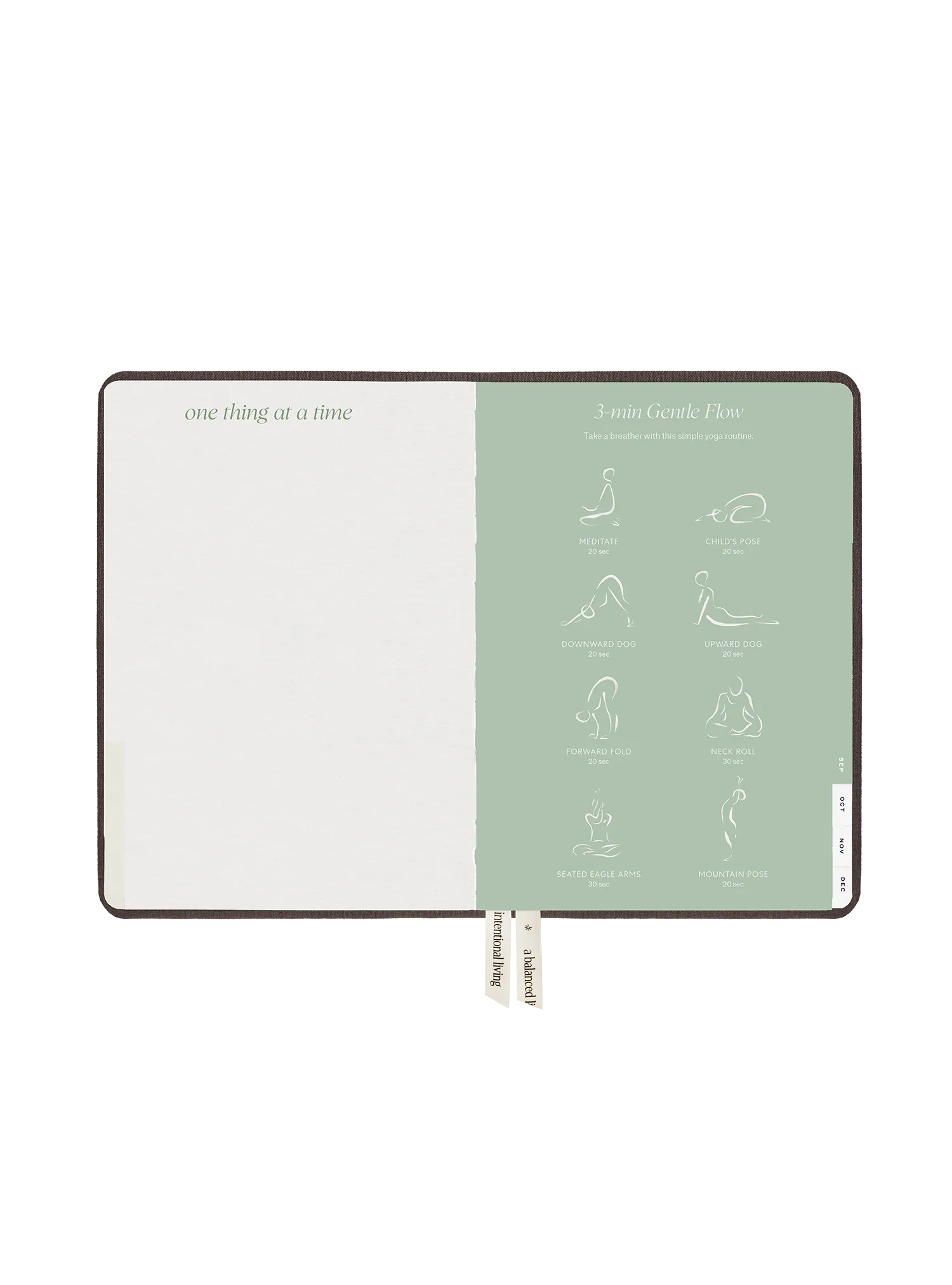 2025 Planner Compact (Fudge)