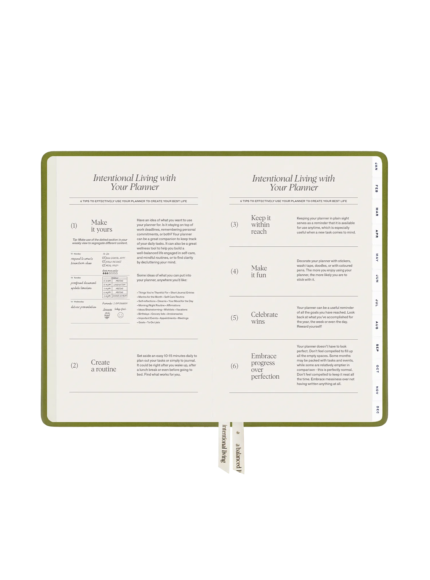 2025 Planner Regular (Lawn)