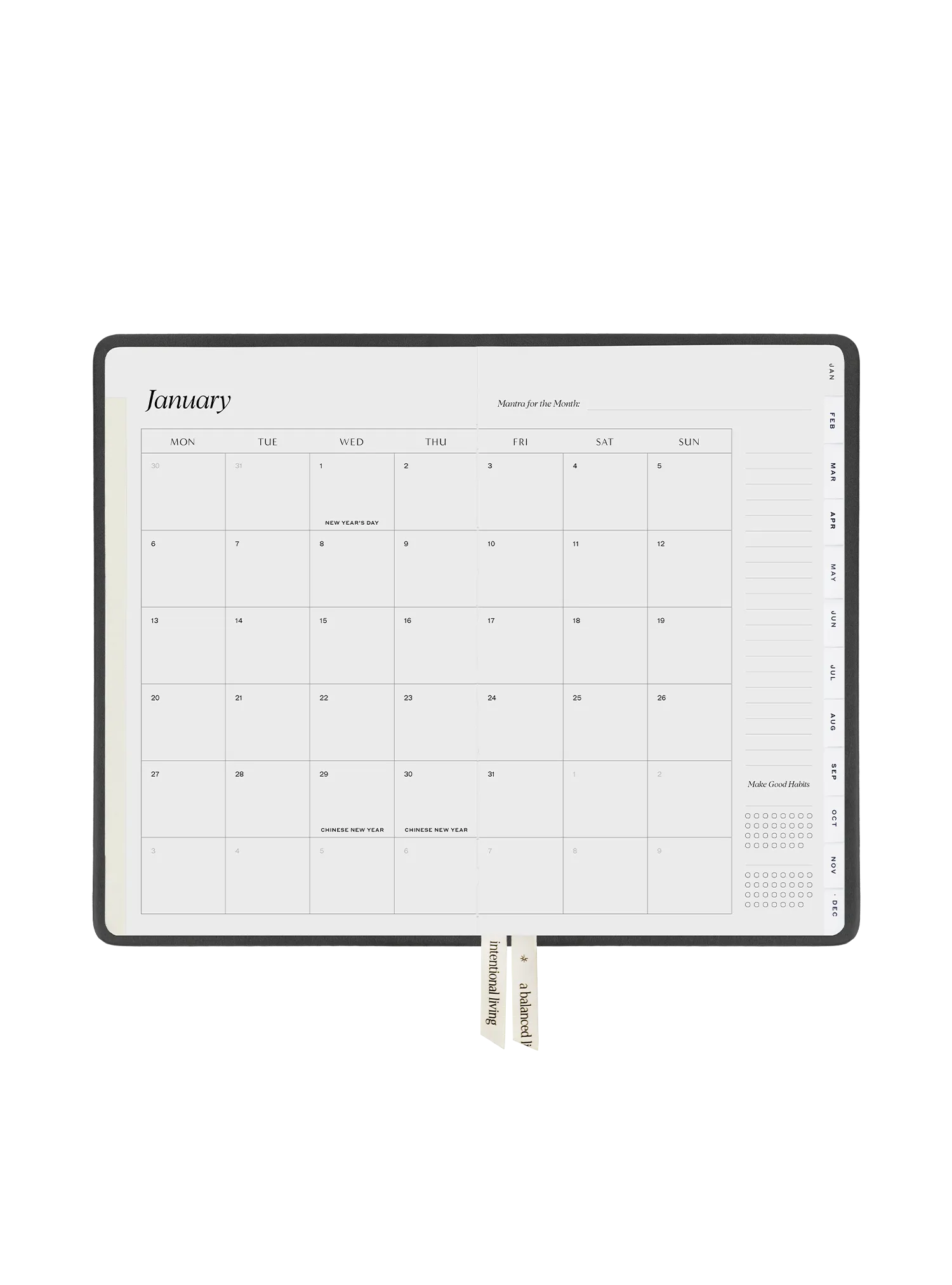 2025 Planner Regular (Titanium)