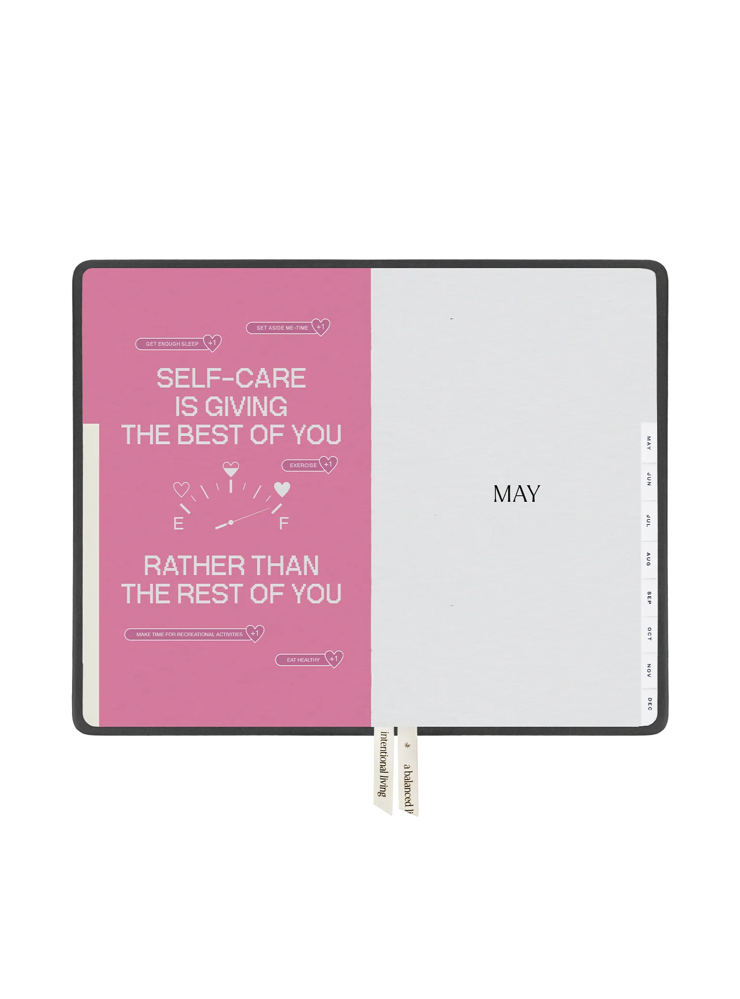2025 Planner Regular (Titanium)