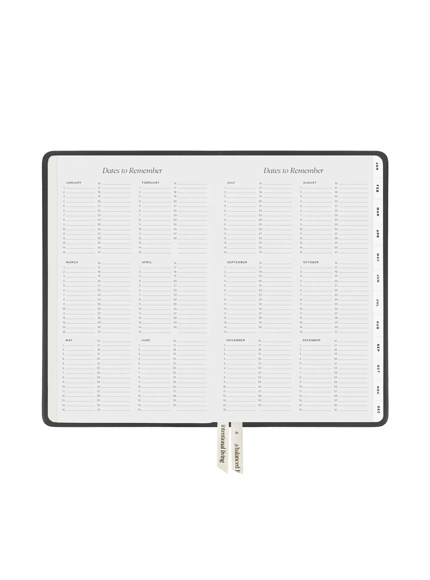 2025 Planner Regular (Titanium)