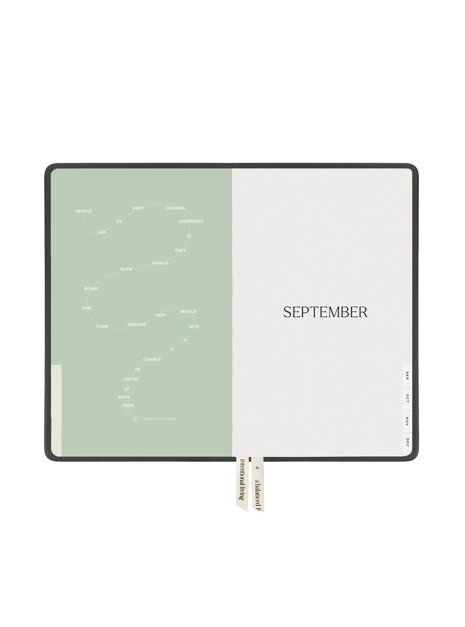 2025 Planner Regular (Titanium)
