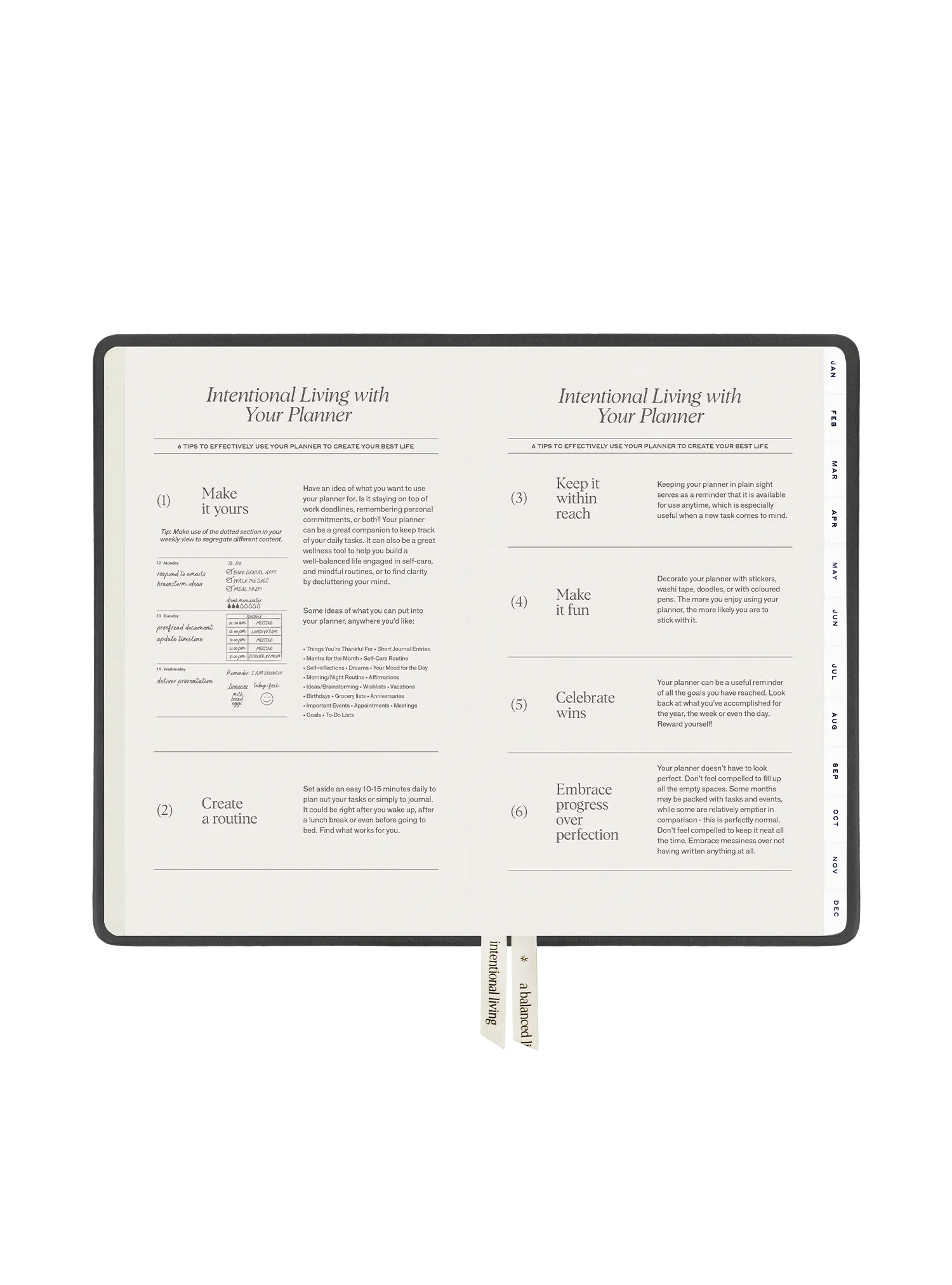 2025 Planner Regular (Titanium)