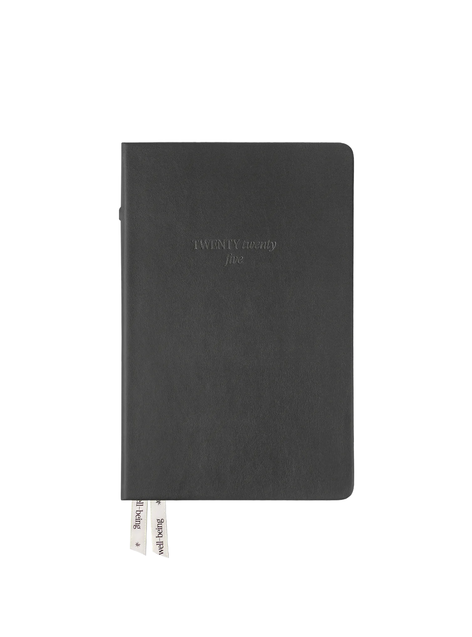 2025 Planner Regular (Titanium)