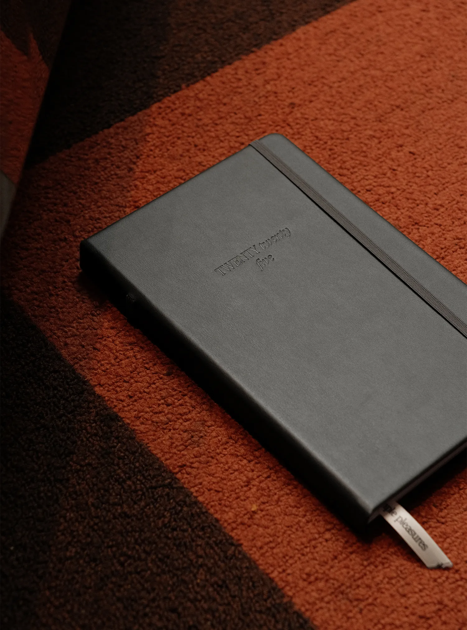 2025 Planner Regular (Titanium)