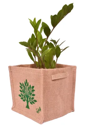 Grow Plant Bag