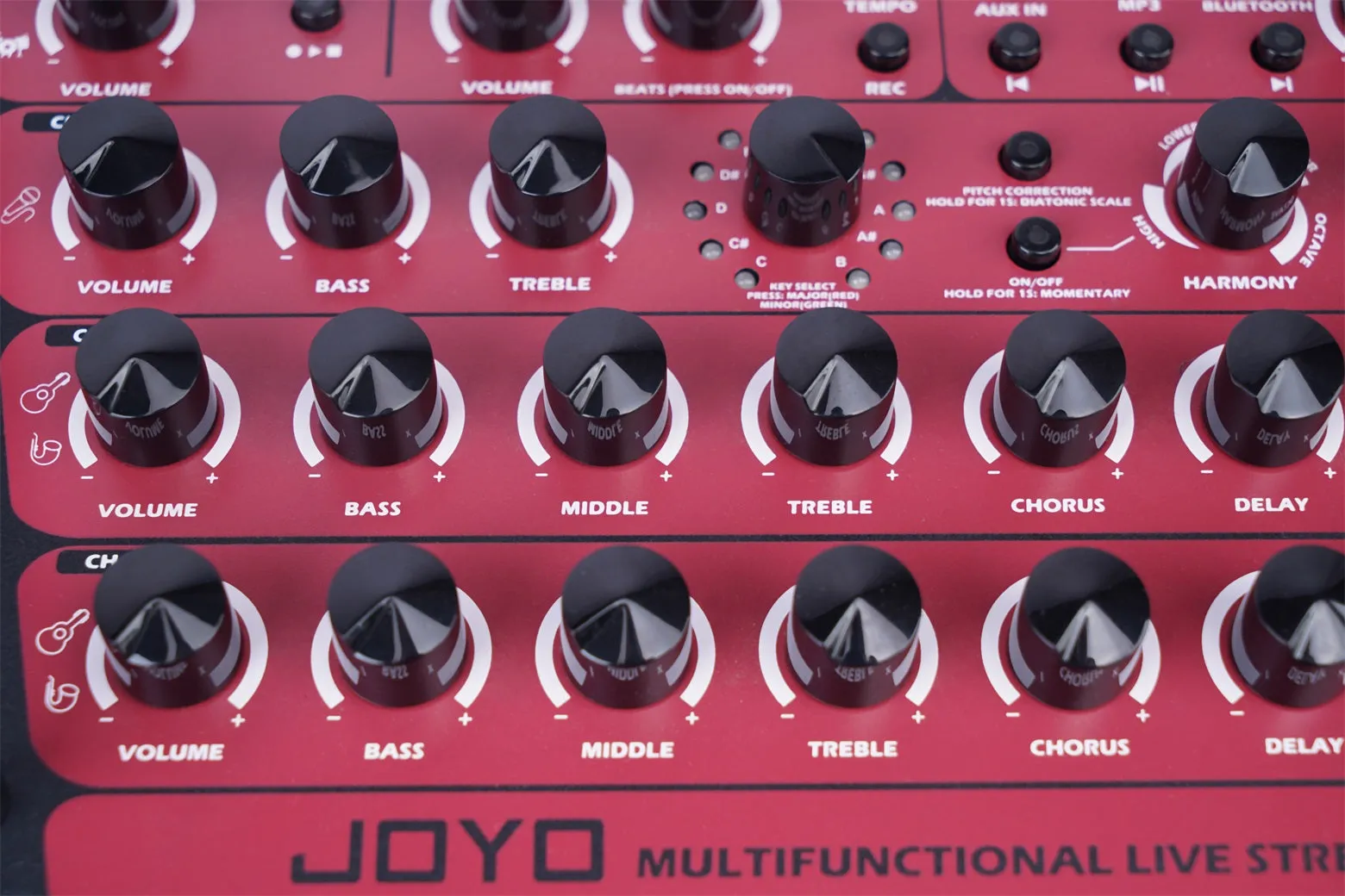 Joyo Technologies BSK-150 150W Battery Powered Acoustic Amplifier