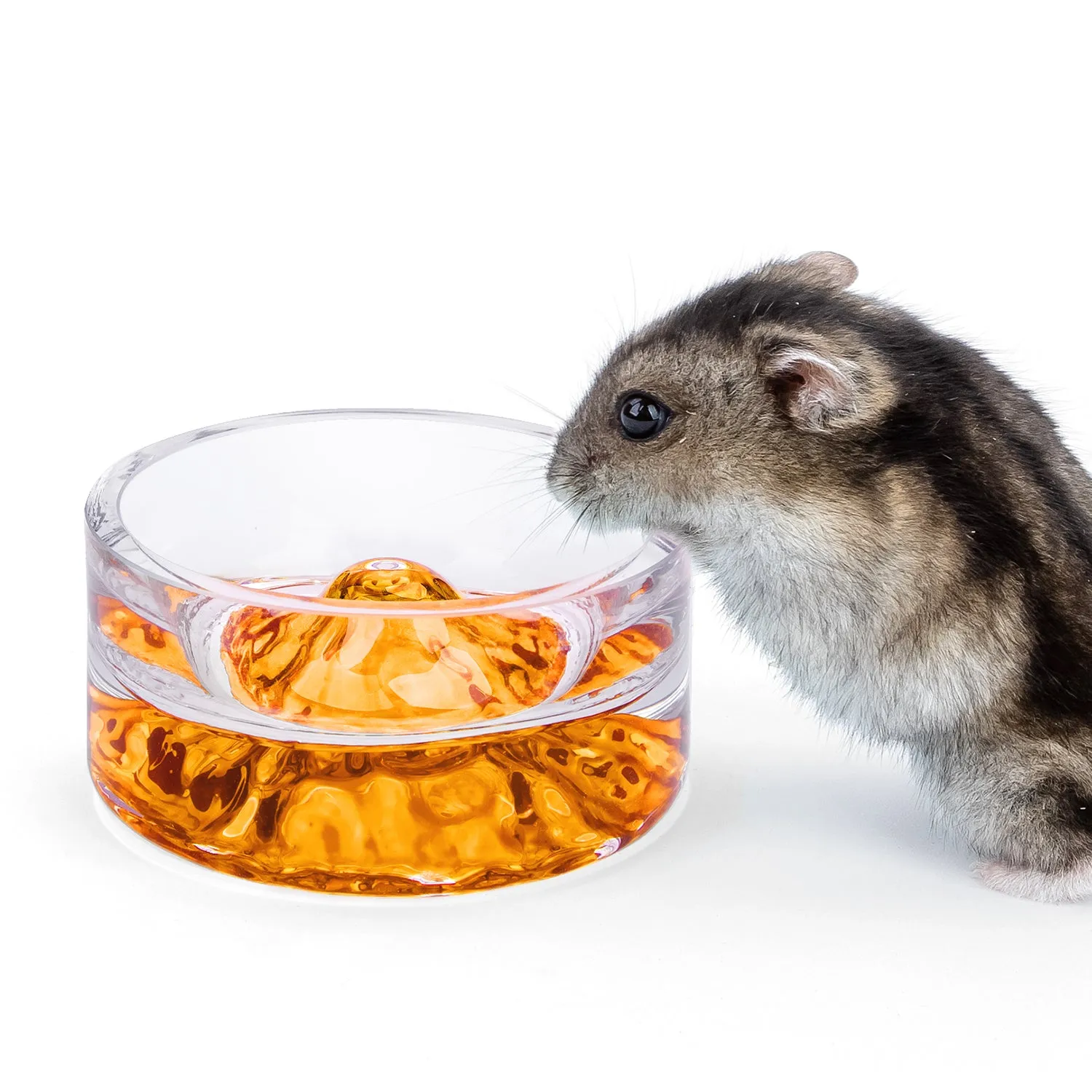 Niteangel Hamster Feeding & Water Bowls - Small Animal Glass Drinking Bowls for Dwarf Syrian Hamsters Gerbils Mice Rats or Other Similar-Sized Small Pets