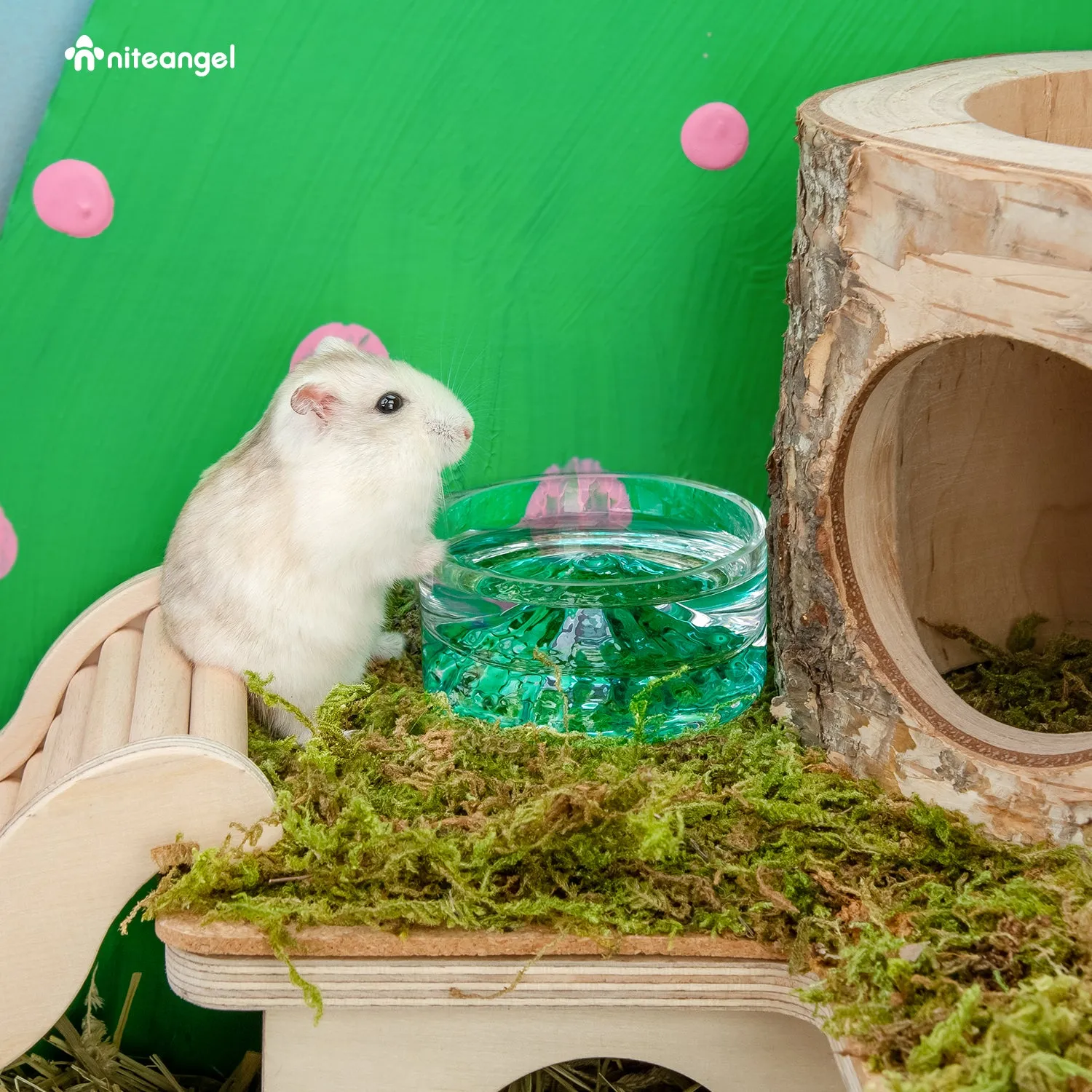 Niteangel Hamster Feeding & Water Bowls - Small Animal Glass Drinking Bowls for Dwarf Syrian Hamsters Gerbils Mice Rats or Other Similar-Sized Small Pets