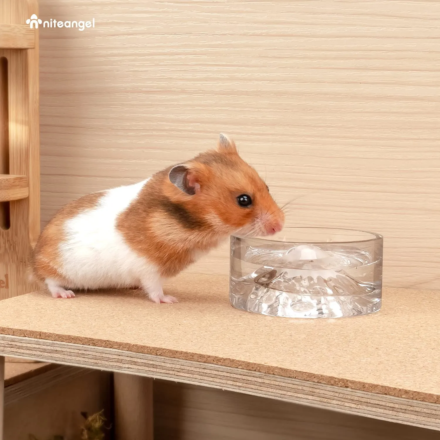 Niteangel Hamster Feeding & Water Bowls - Small Animal Glass Drinking Bowls for Dwarf Syrian Hamsters Gerbils Mice Rats or Other Similar-Sized Small Pets