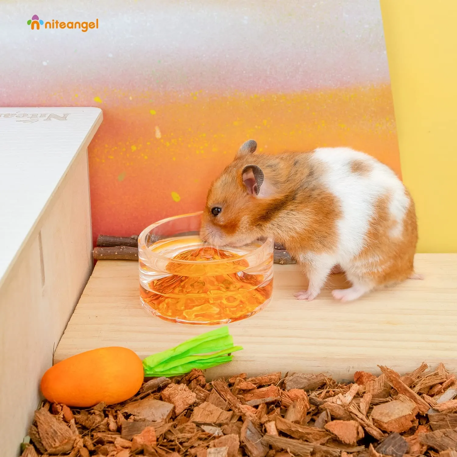 Niteangel Hamster Feeding & Water Bowls - Small Animal Glass Drinking Bowls for Dwarf Syrian Hamsters Gerbils Mice Rats or Other Similar-Sized Small Pets