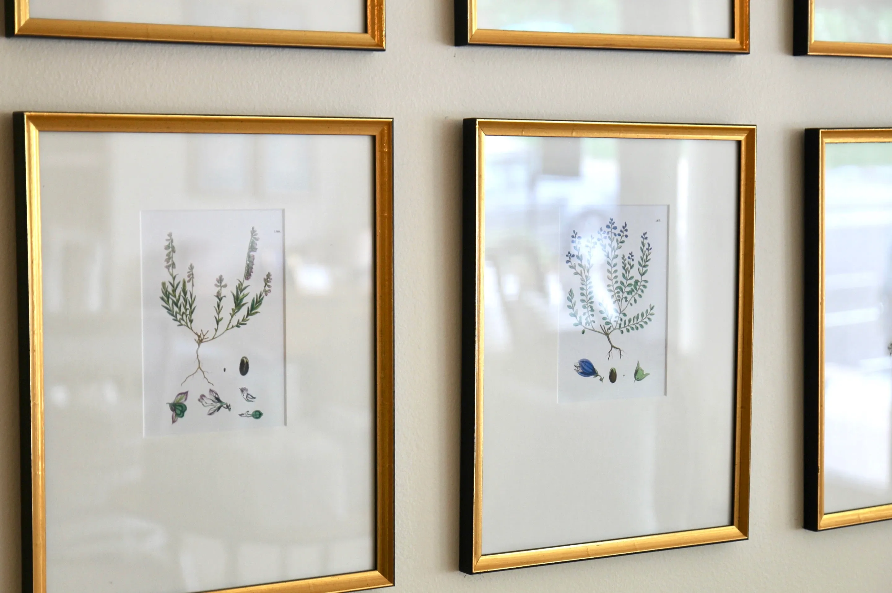 Offset Mat Boards for Fresh Botanicals - Natural White