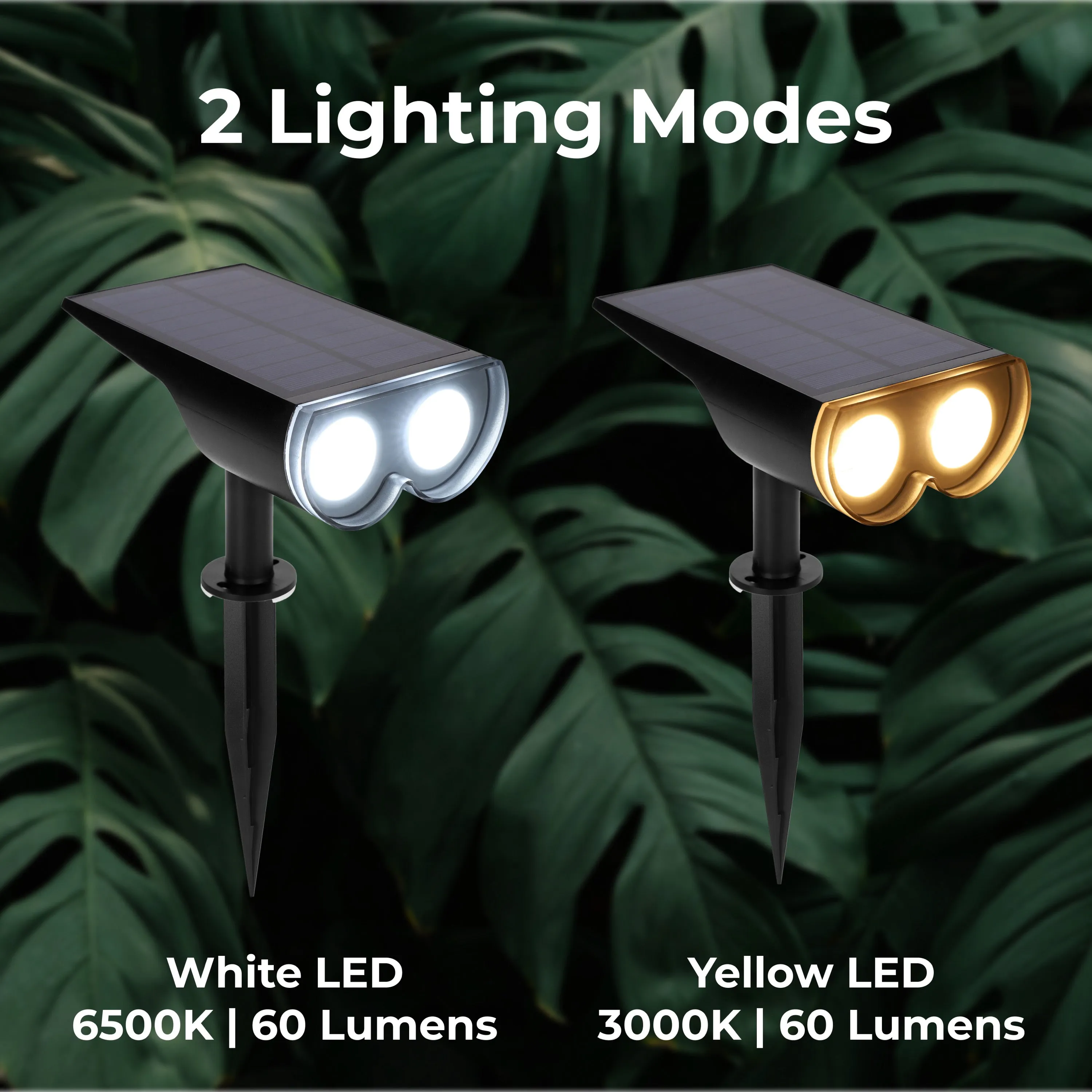 Outdoor Solar Spotlight w/ Wall-Mount & Ground-Stake