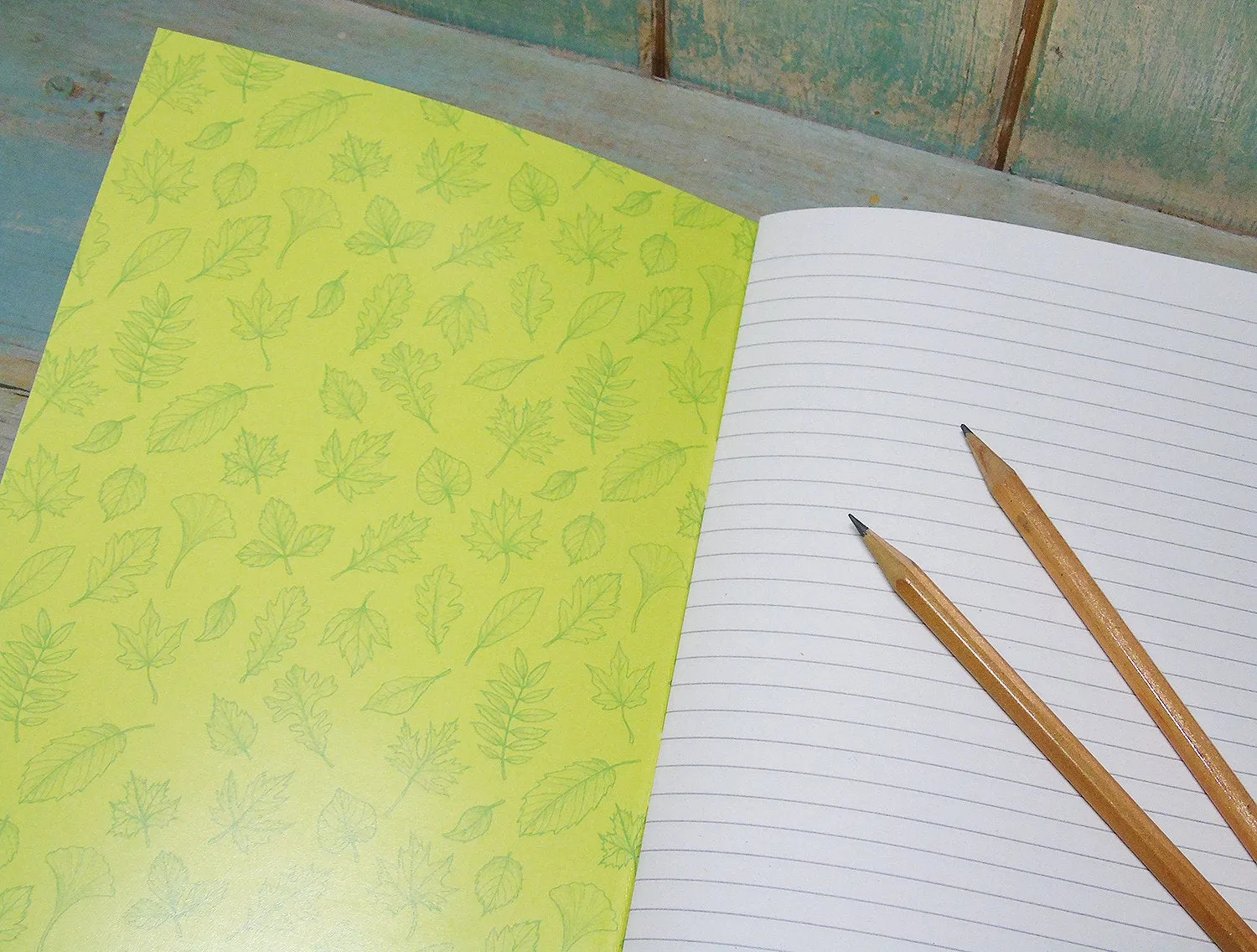 Red Panda Illustration Notebook