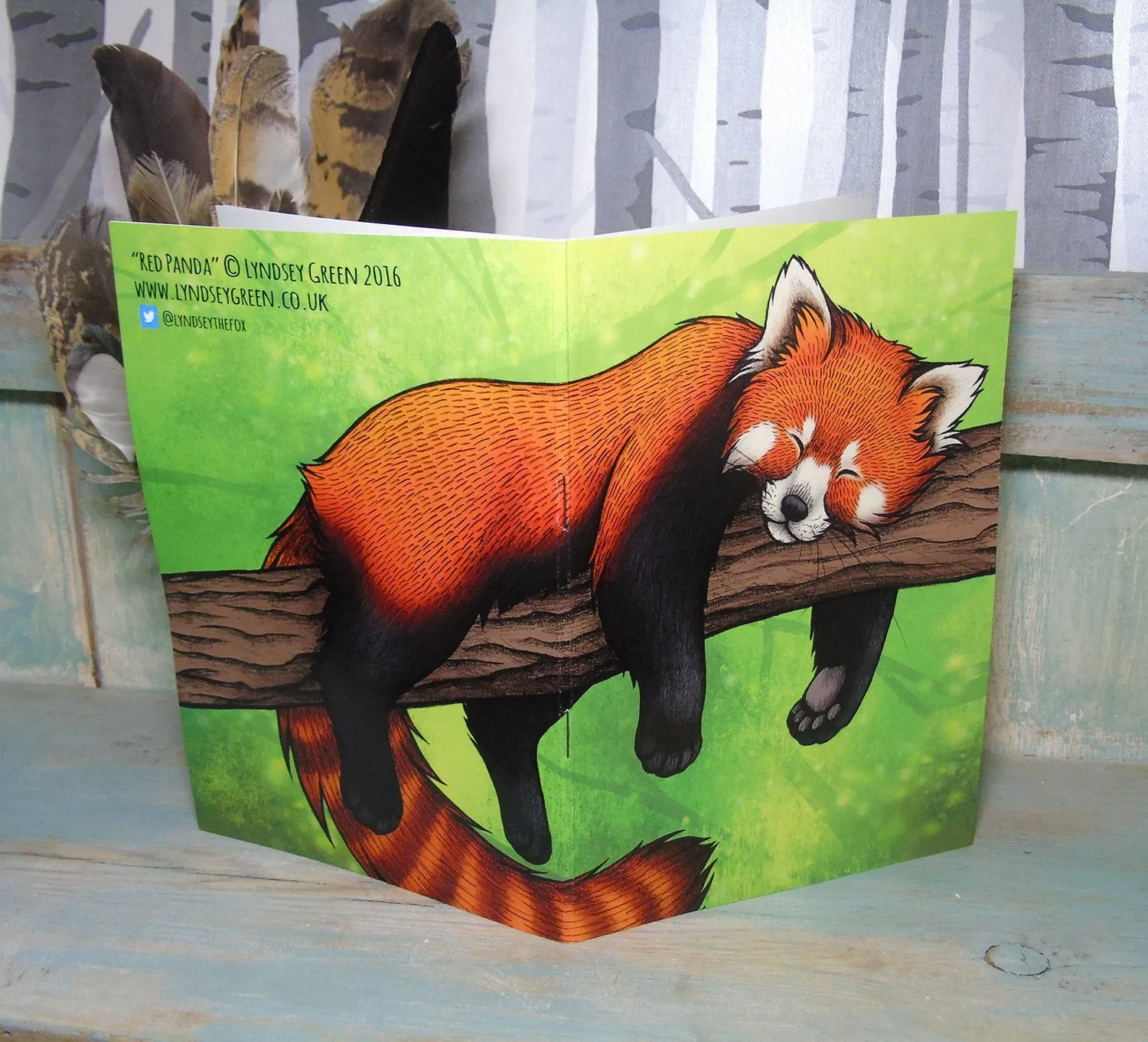 Red Panda Illustration Notebook
