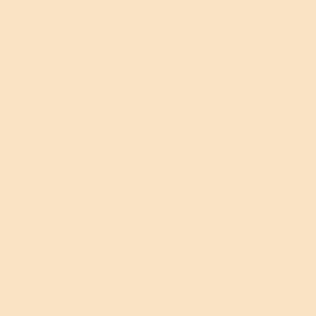 Savage Widetone Seamless Background Paper (Egg Nog, 53" x 36)