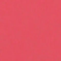 Savage Widetone Seamless Background Paper (Flamingo, 53" x 36)