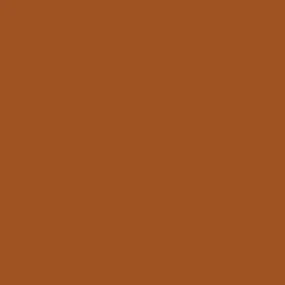 Savage Widetone Seamless Background Paper (Sienna 86” x 12yds)
